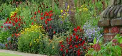 A well stocked herbaceous perennial border