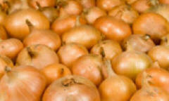 Perfect onions ready to be stored for the winter