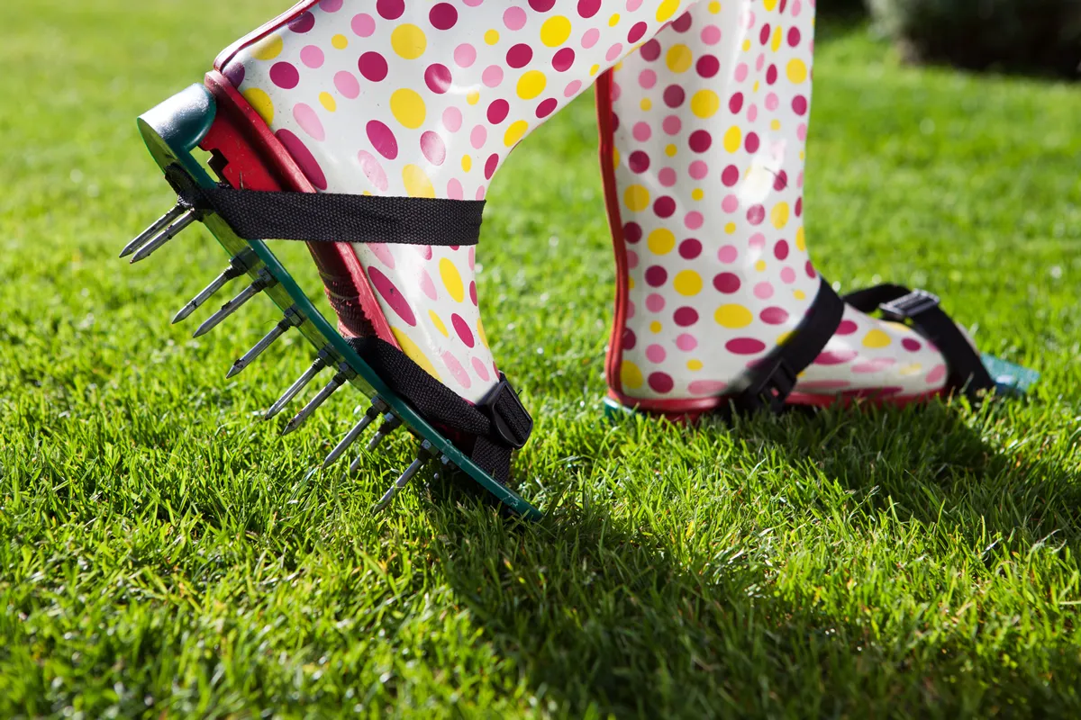 Woman wearing spiked lawn revitalizing aerating shoes, gardening concept