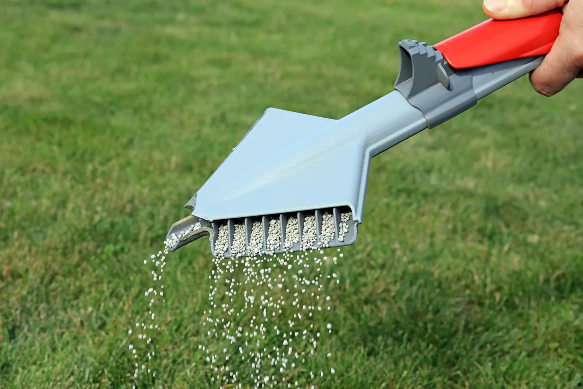 Lawn Fertilizer Being Spread By A Hand Held Spreading Machine To Feed And Treat Grass.