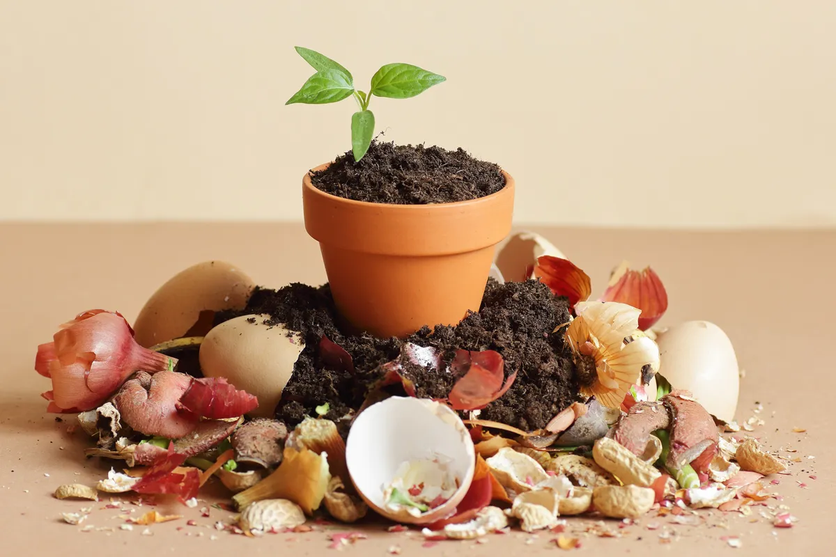 Organic waste, heap of bio compost with decomposed organic matter on top, closeup, zero waste, eco friendly, waste recycling concept