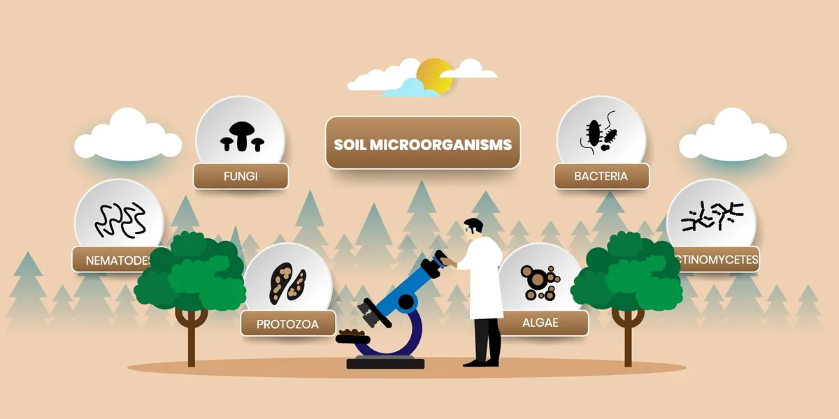 Soil Microorganisms Concept With icons. Cartoon Vector People Illustration