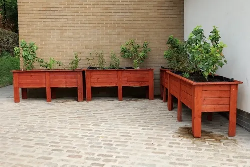 Brown wood planters on legs against building walls with plants Huddersfield Yorkshire England 0-20-2022 y Roy Hinchliffe