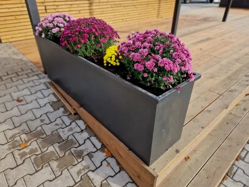 Ornamenta plastic flowerpots with red, yellow, violet blooming flowers. street looks festive and everyone notices decorations, street, representative, decoration, round, sphere, pastel colored