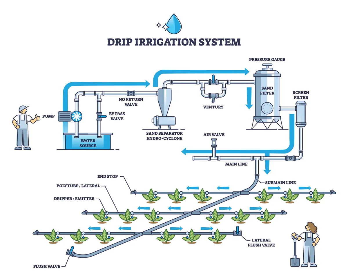 Drip irrigation system and automatic ground watering pipeline outline diagram. Labeled educational scheme with garden irrigation model principle explanation and technical drawing vector illustration.