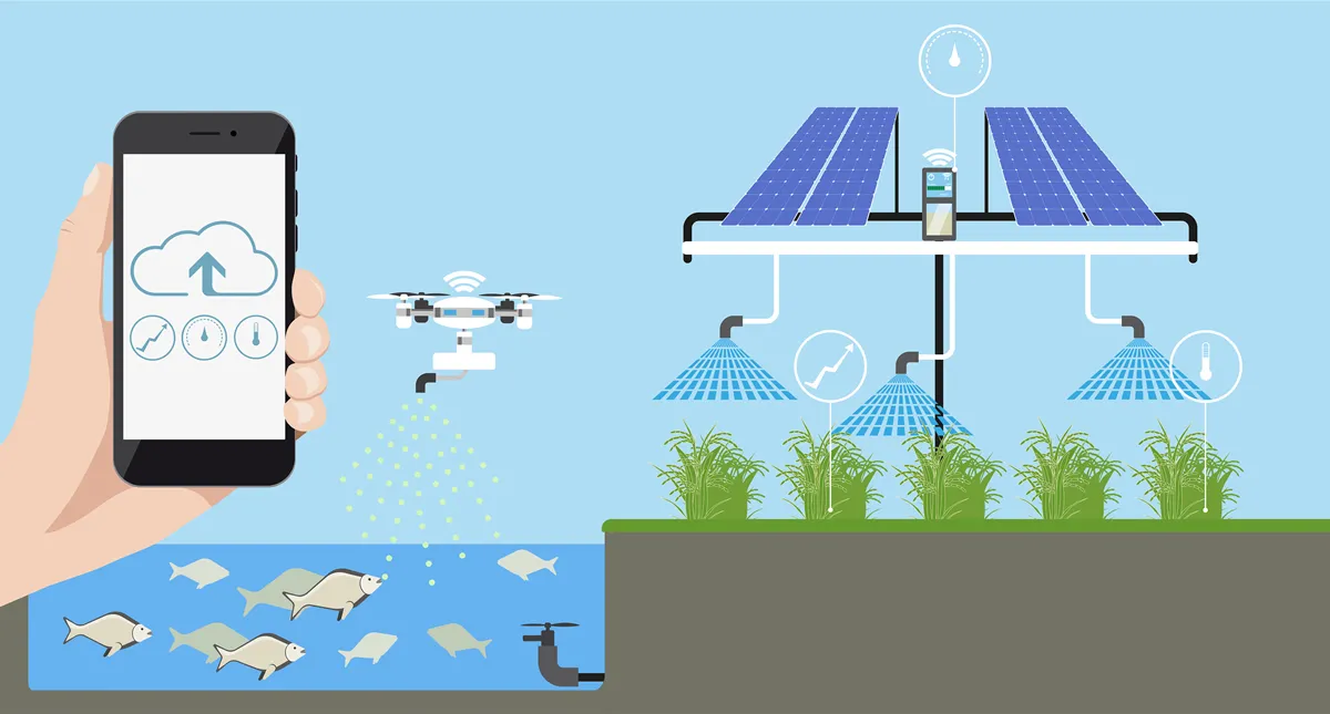 Growing plants on the field. Smart farm with wireless control. Eco farm with aquaponics system and irrigation system. Technology in agricultere. Vector illustration.