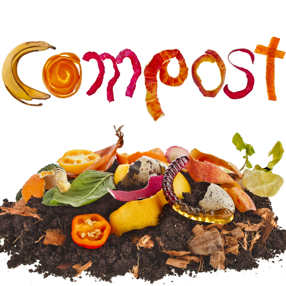 Compost written in fruit and veg peel with a compost heep full of organic compost. to prepare for planting trees.