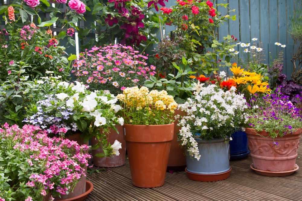 Patio area surrounded by various colourful potted plants. Container gardening ideas.