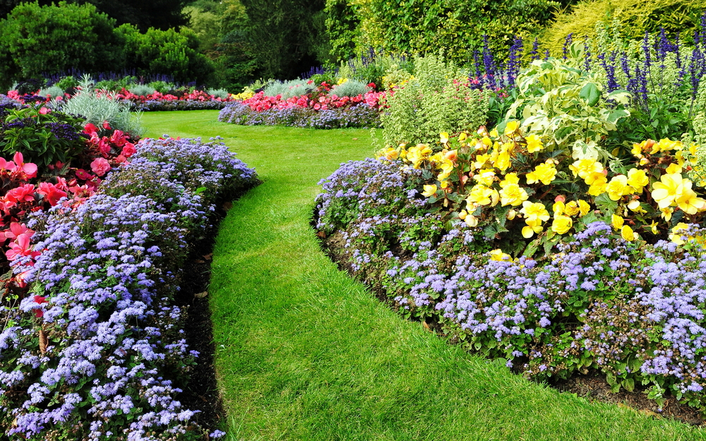 Scenic View of Colourful Flowerbeds and a Winding Grass Lawn Pathway in an Attractive English Formal Garden