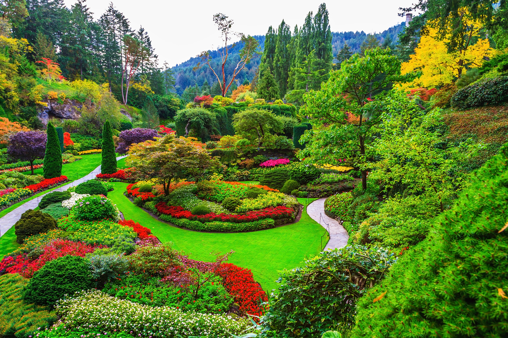 Butchart Gardens - gardens on Vancouver Island. Flower beds of colorful flowers and walking paths for tourists. The world-famous masterpiece of park architecture