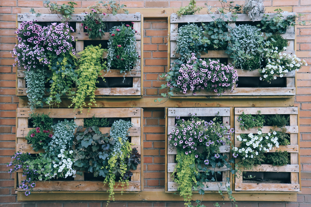 A small example of vertical green wall, with planting crates mounted on a wall. Photo taken in Gothenburg city (Sweden)