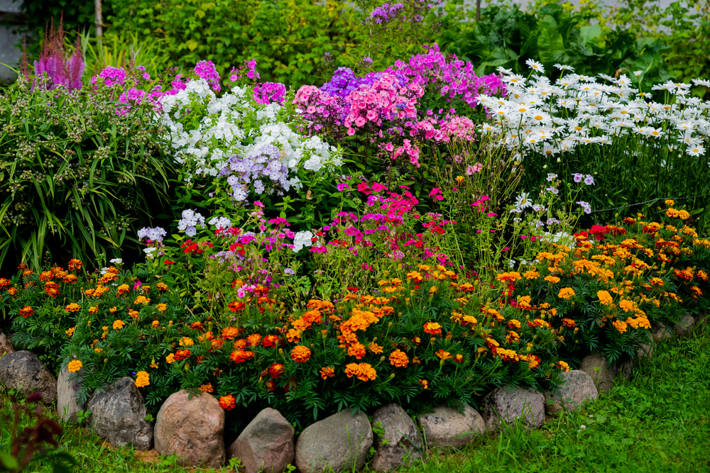 multicolored flowerbed on a lawn. horizontal shot. selective focus.Perennial garden flower bed in spring at flower show.Colorful flower bed with Gazania and Begonia,phloxes