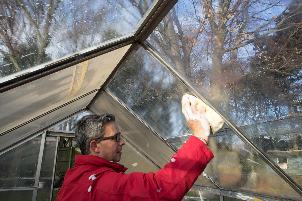 Man washes the inside of a greenhouse conservatory glass windows with a soapy sponge.
