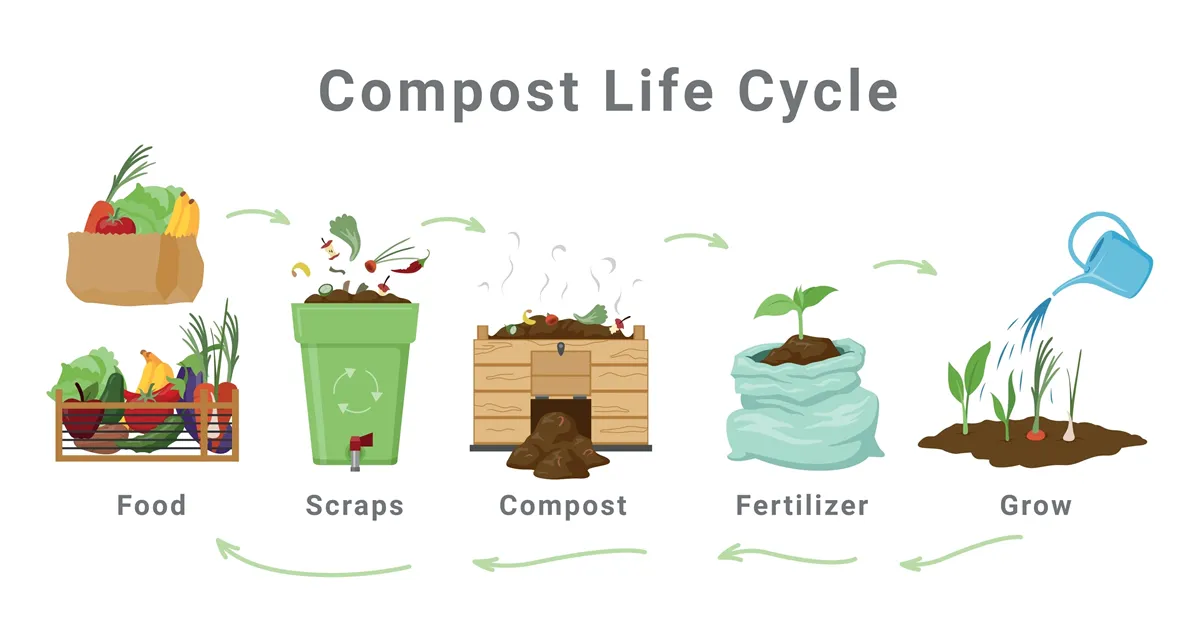 Compost life cycle infographic scheme with steps description and arrows isometric vector illustration. Composting earth dirt farming agriculture gardening recycling ecology vegetable bio growth
