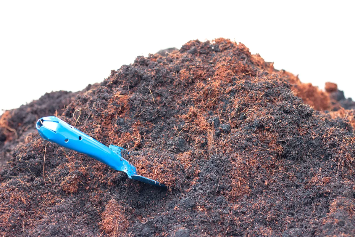 Pile of soil and coconut dust with a blue shovel isolated on white background.