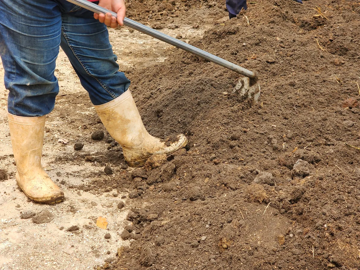 Compost made from animal manure.