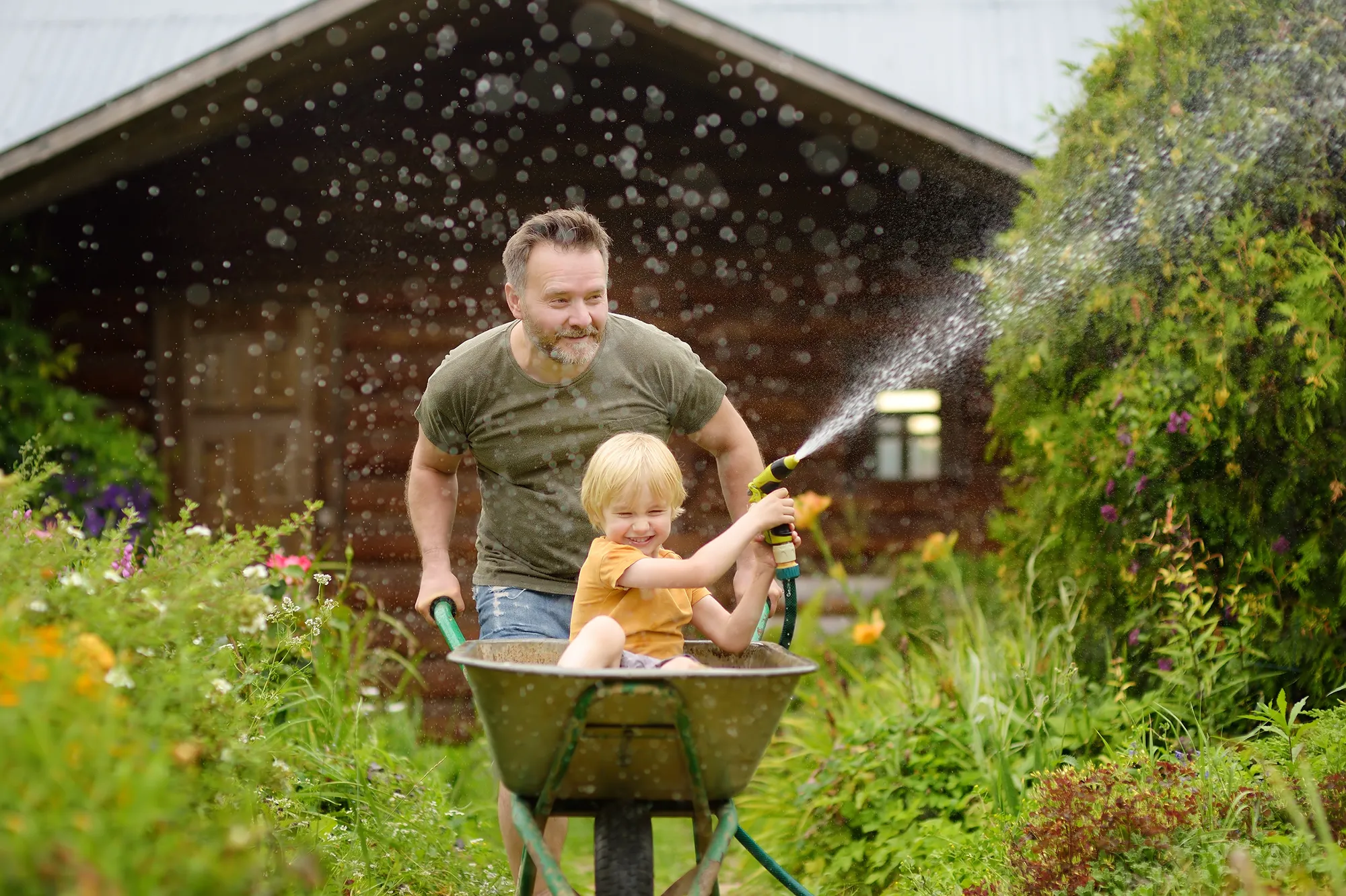 Happy little boy having fun in a wheelbarrow pushing by dad in domestic garden on warm sunny day. Child watering plants from a hose. Active outdoors games for family with kids in summer