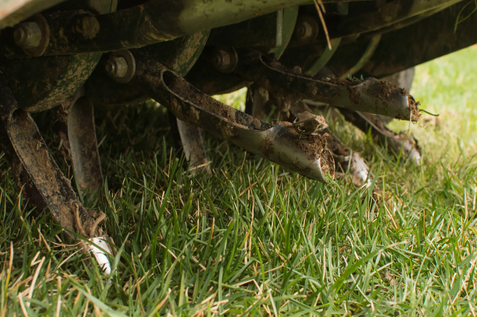 Lawn Aeration