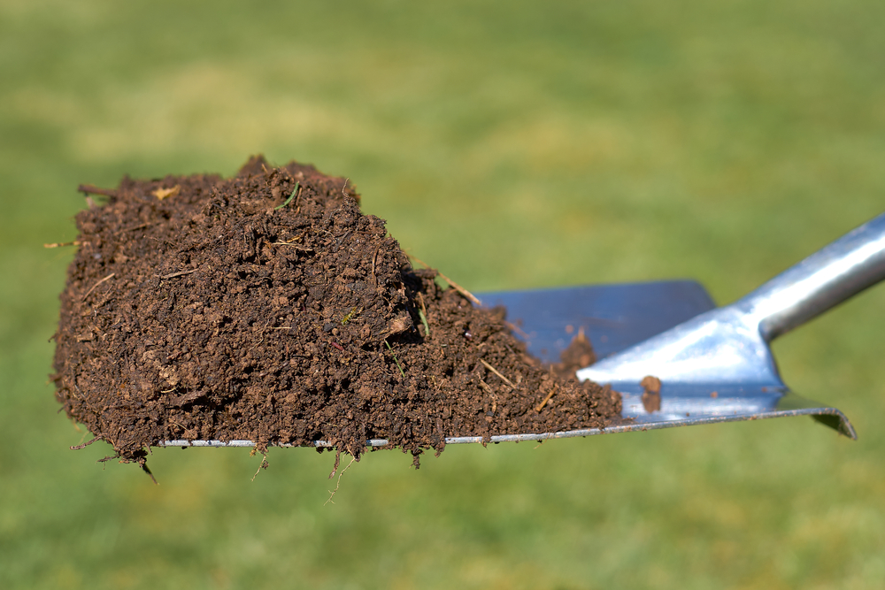Fresh compost with a shovel and a green background