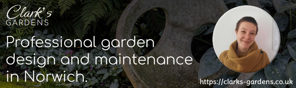 Professional garden design and maintenance in Norwich