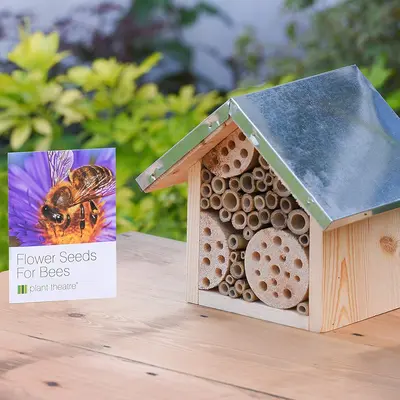Bee Hotel & Flower Seeds for the Bees