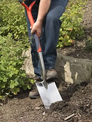 Spear & Jackson Stainless Digging Spade in use