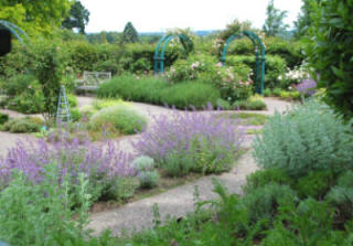 The Herb Garden at Wisley RHS