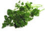 Small image of Parsley leaves