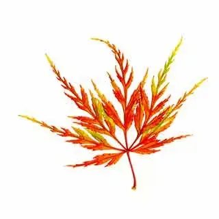 gardenseeker.co.uk logo