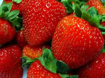 Strawberries -yum yum