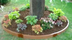 Retaini ng edgae around shrub bed