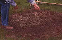 Repairing Bumps in your Lawn. How to deal with bumps in the lawn.