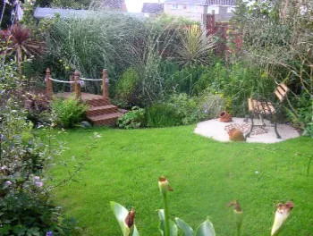 Feed and Condition your Lawn