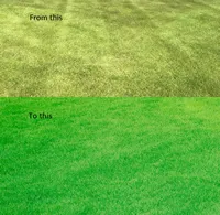 Iron Sulphate 25Kg - Ferrous Sulphate Damp - Lawn Greening Treatment, Conditioner & Tonic - Easy to dissolve ferrous sulfate