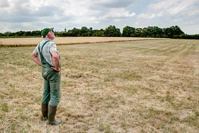 A Farmer stands on his dry meadow and hopes that the clouds in the sky will finally bring rain. Climate change is causing more and more droughts in Germany too.