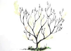 Pruning done shows the finished pruning operation