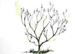 Pruning done shows the finished pruning operation