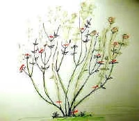 Forsythia - Pruning diagram with red marks to show the pruning cuts