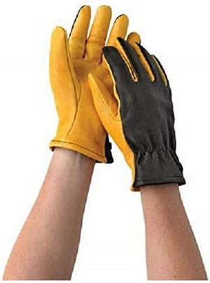 Gold Leaf Dry Touch - Ladies