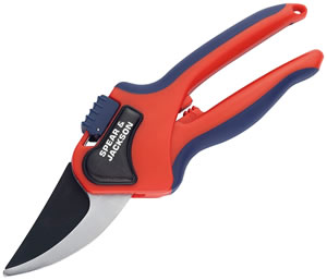 cutting a branch with a pair of secateurs