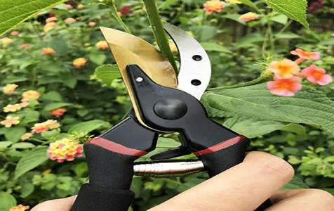 Professional-Secateurs-Premium-Titanium