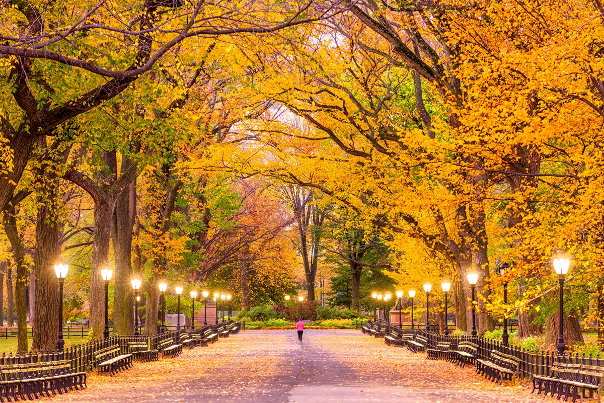 Central Park at The Mall in New York City during autumn.