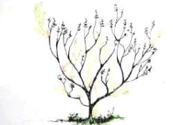 Pruning done shows the finished pruning operation