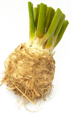 celeriac - an unusual root vegetable