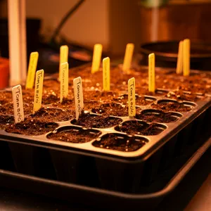 Pop 2 seeds into each comparment